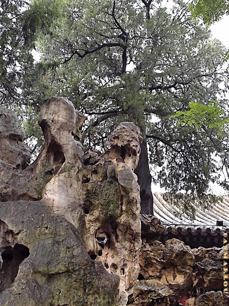 PEKIN - PARC BEIHAI (29).jpg
